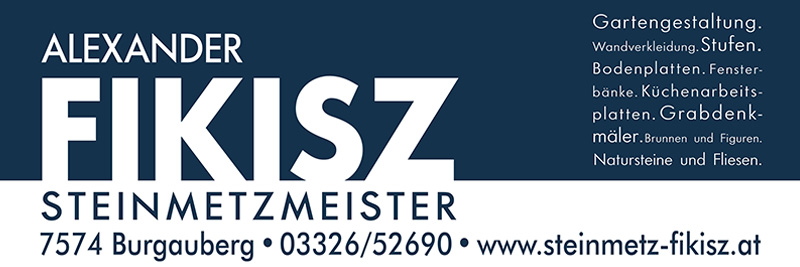 Steinmetz_Fikisz_Logo_N